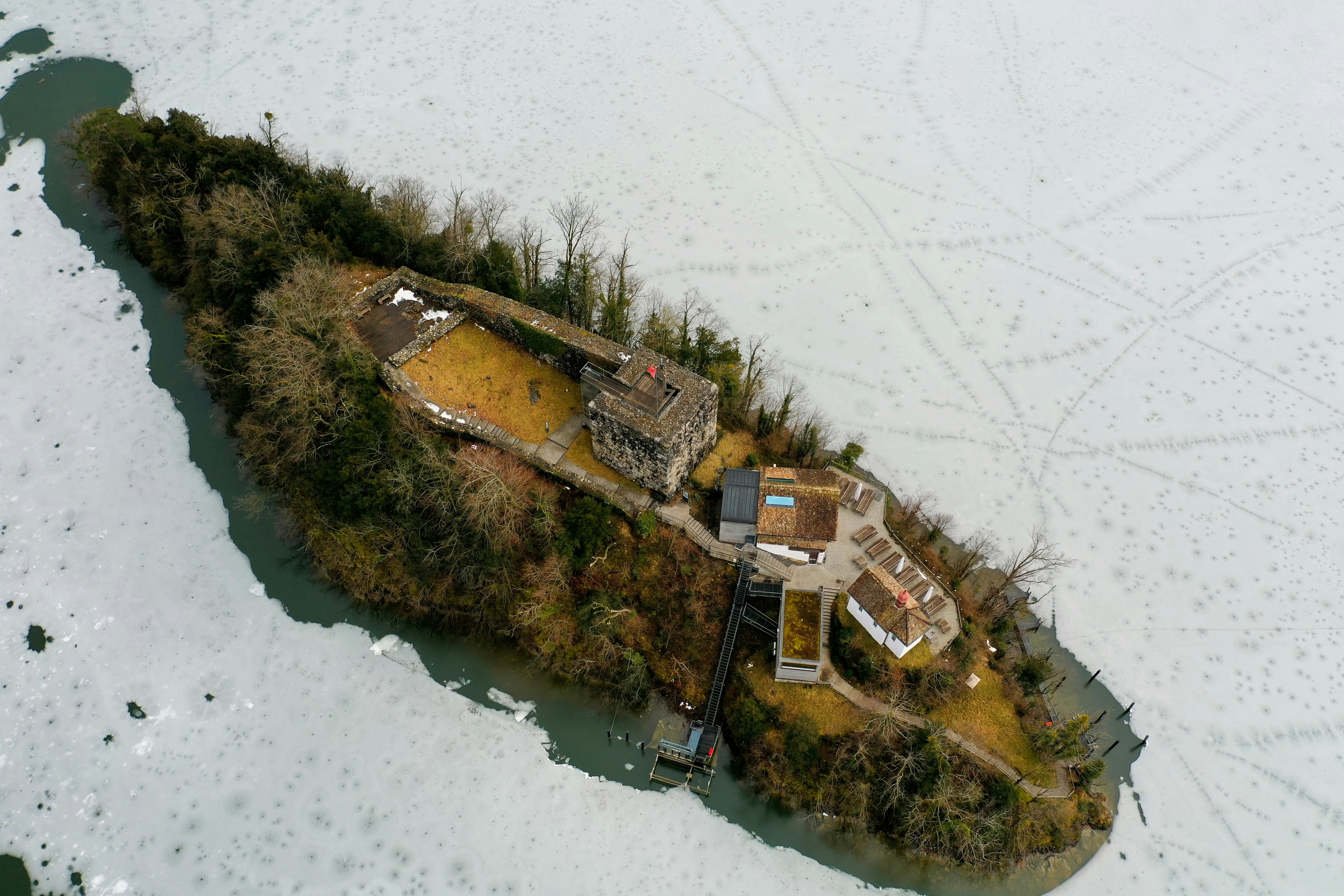 aerial view of green trees and brown house during daytime